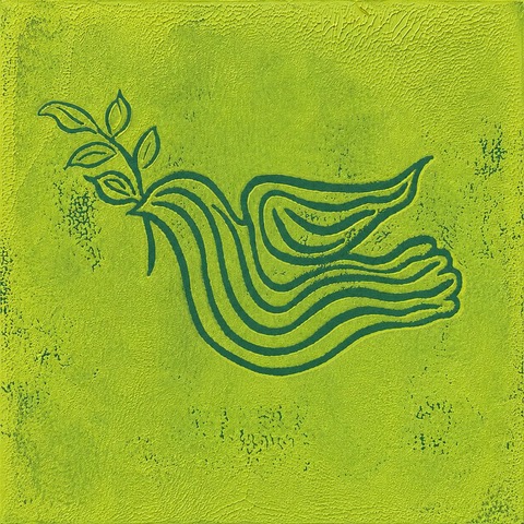 Sycamore Dove Album Cover by Gina Lee Ronhovde