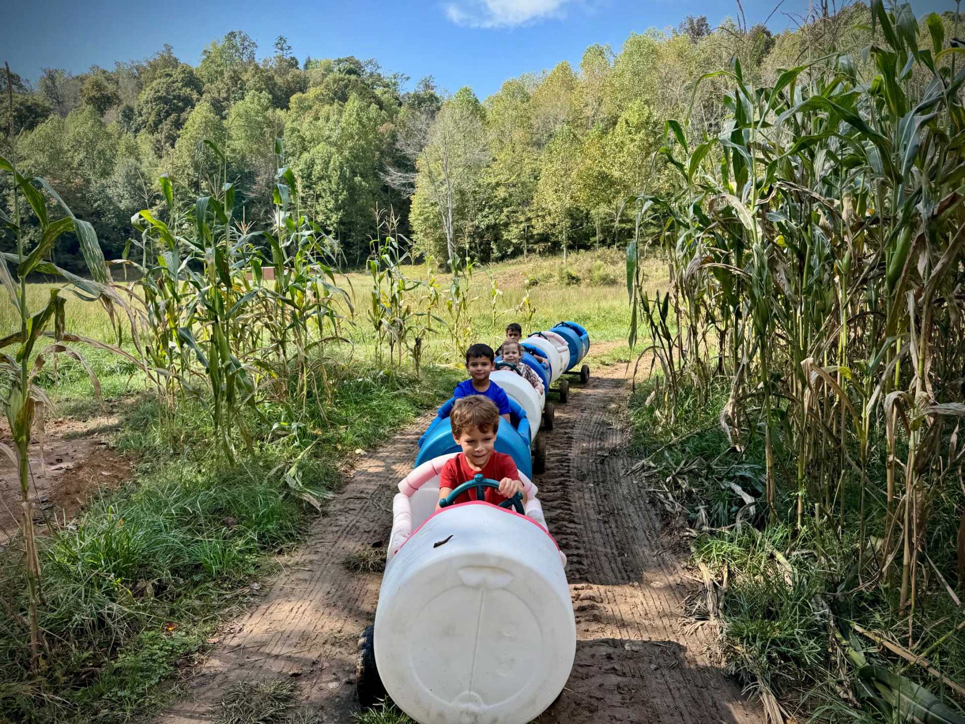 Train